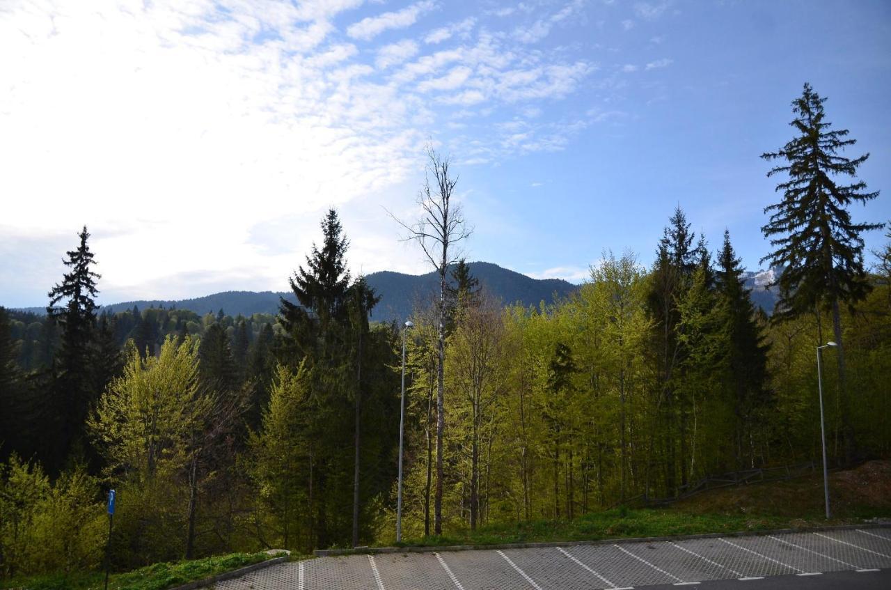 Silver Pine Apartment Poiana Brasov Ngoại thất bức ảnh