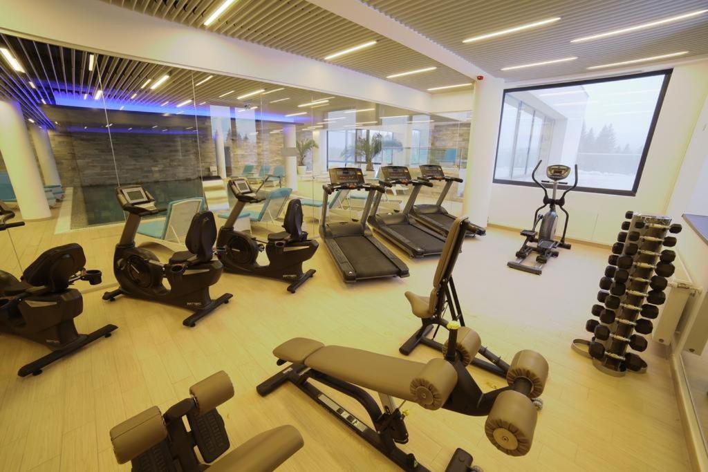 Silver Pine Apartment Poiana Brasov Ngoại thất bức ảnh
